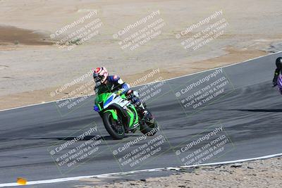 media/Feb-04-2024-SoCal Trackdays (Sun) [[91d6515b1d]]/4-Bowl Backside (11am)/